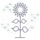 Спеціальні та мікродобрива