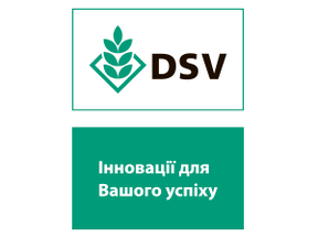 DSV («ДСВ», Німеччина)