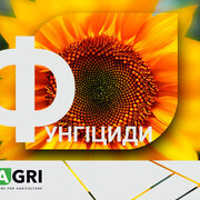 Фунгіциди від IFAGRI