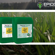 Терра-Сорб<sup>®</sup> - біостимулятори на основі амінокислот для зняття стресу та стимуляції рослин