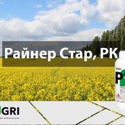 Інсектицид Райнер Стар від IFAGRI – ацетаміприд у рідкій препаративній формі