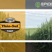 Thio-Sul<sup>®</sup> (розчин тіосульфату амонію) - рішення 3 в 1