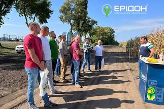 Польовий семінар у ПП «Євросем», вересень 2023: посіви кукурудзи та поточна вологість зерна, сходи ріпаку