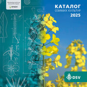 Каталог озимих культур DSV 2025